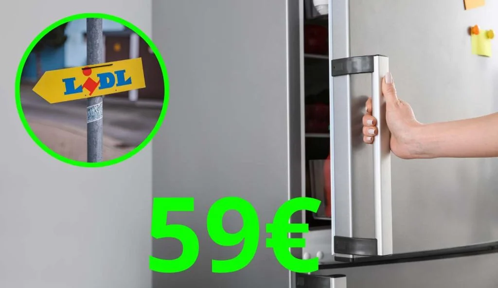 Přečtete si více ze článku LIDL se zbláznil, lednička se prodává za pouhých 59 eur | Záruka 3 roky: to je levnější než večeře v restauraci