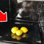 Sbohem, chemie: přírodní způsob odstraňování mastnoty z trouby